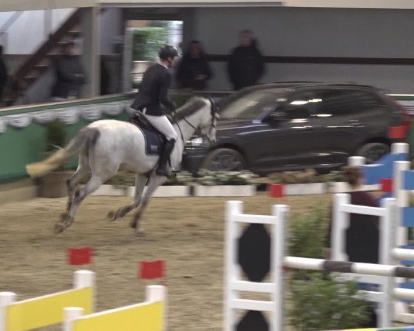 Reitturnier Gahlen 2023