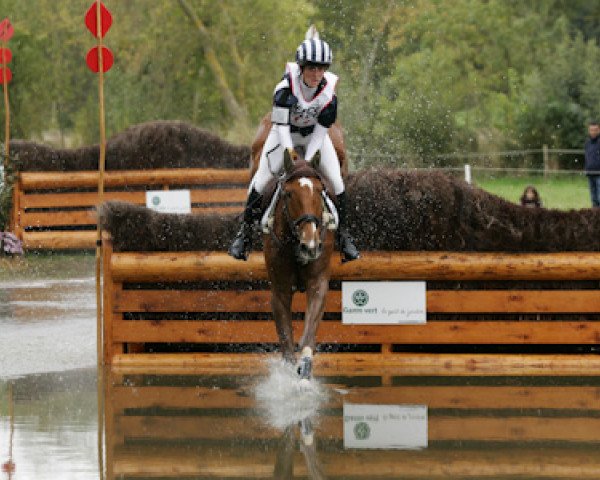 horse Onwards and Upwards (Westphalian, 2003, from Laureus NRW)