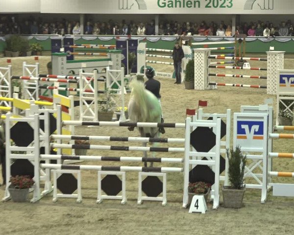 Reitturnier Gahlen 2023