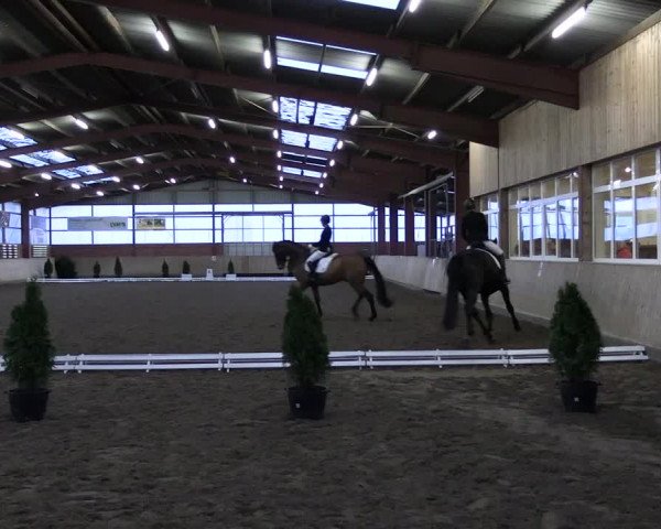 Reitturnier Ostenfelde-Vornholz 2023