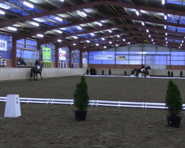 Reitturnier Ostenfelde-Vornholz 2023