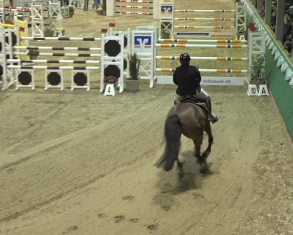 Reitturnier Gahlen 2023