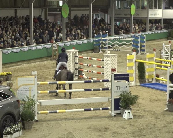 Reitturnier Gahlen 2023