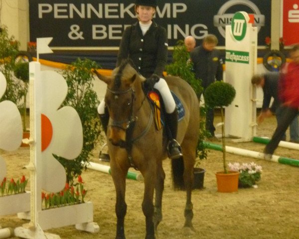 jumper Calex (Westphalian, 2007, from Cayetano L)