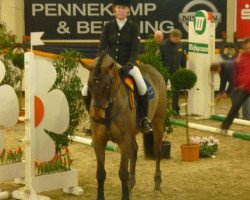 Springpferd Calex (Westfale, 2007, von Cayetano L)