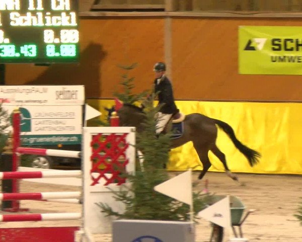 Reitturnier Dielsdorf 2023