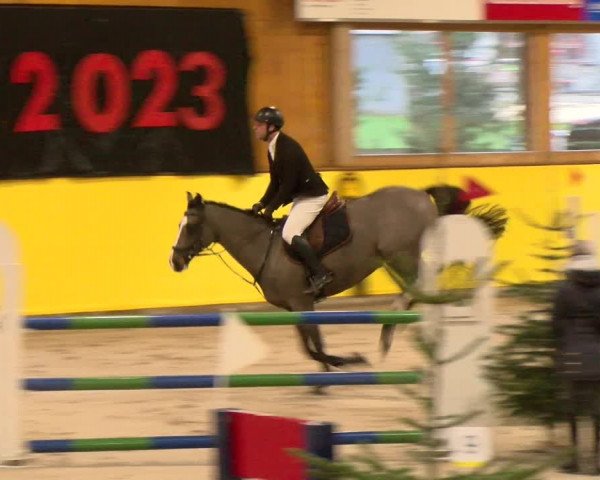 Reitturnier Dielsdorf 2023