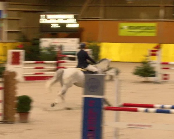 Reitturnier Dielsdorf 2023