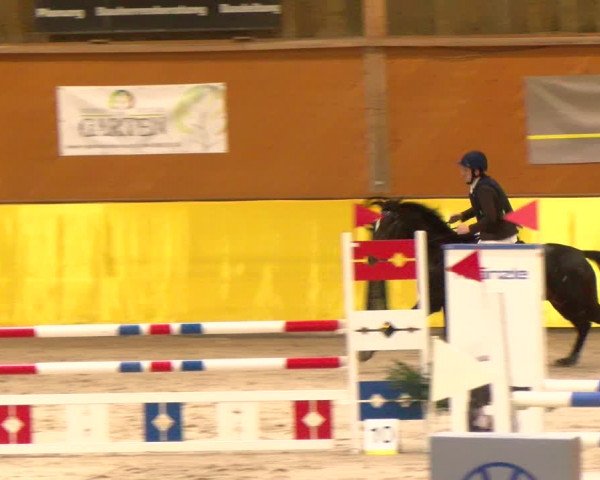 Reitturnier Dielsdorf 2023