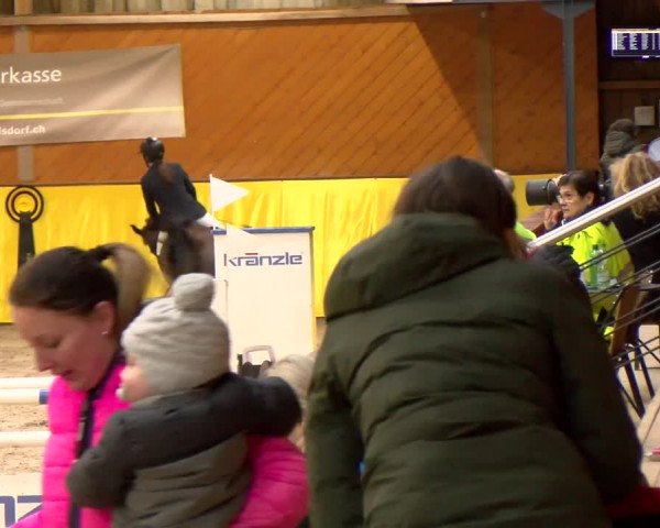 Reitturnier Dielsdorf 2023