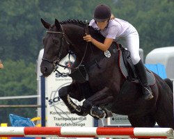jumper Ebony 44 (Hanoverian, 1997, from Escudo II)