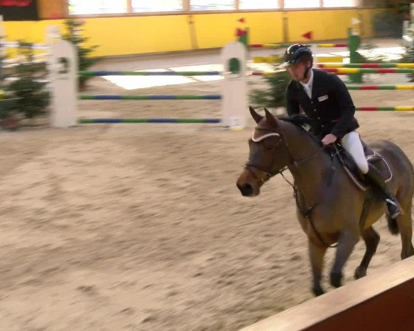 Reitturnier Dielsdorf 2023