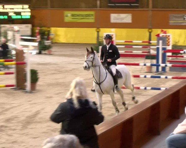Reitturnier Dielsdorf 2023