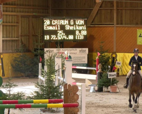 Reitturnier Dielsdorf 2023