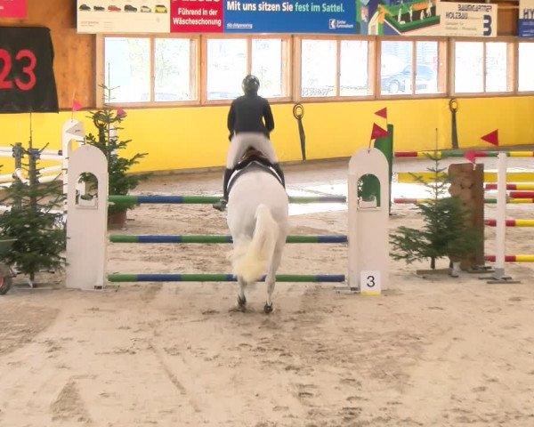 Reitturnier Dielsdorf 2023