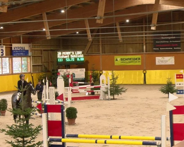 Reitturnier Dielsdorf 2023