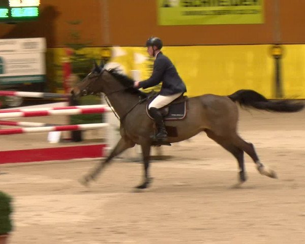 Reitturnier Dielsdorf 2023
