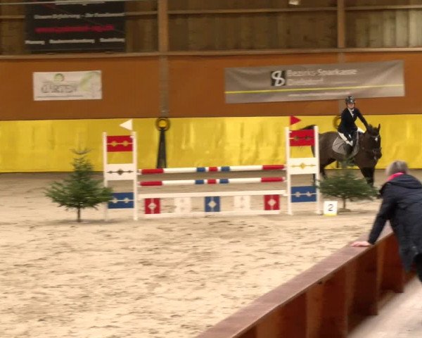 Reitturnier Dielsdorf 2023
