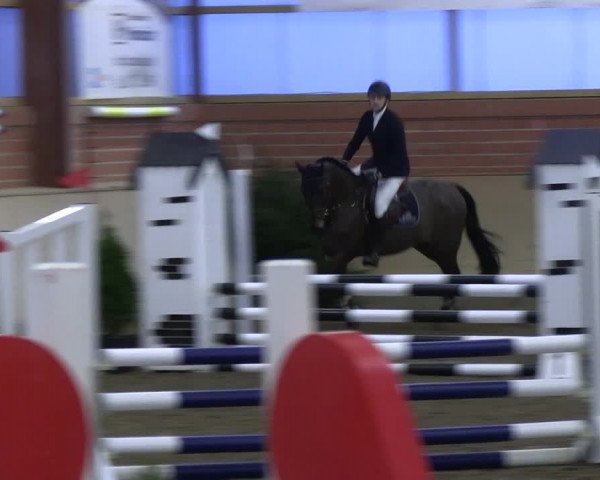 Reitturnier Ostenfelde-Vornholz 2023