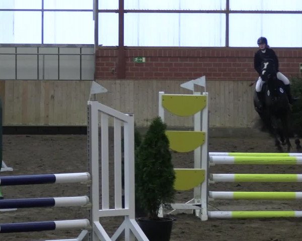 Reitturnier Ostenfelde-Vornholz 2023