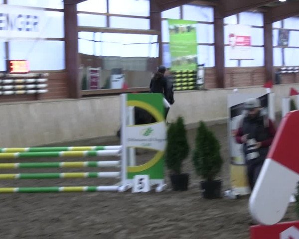 Reitturnier Ostenfelde-Vornholz 2023