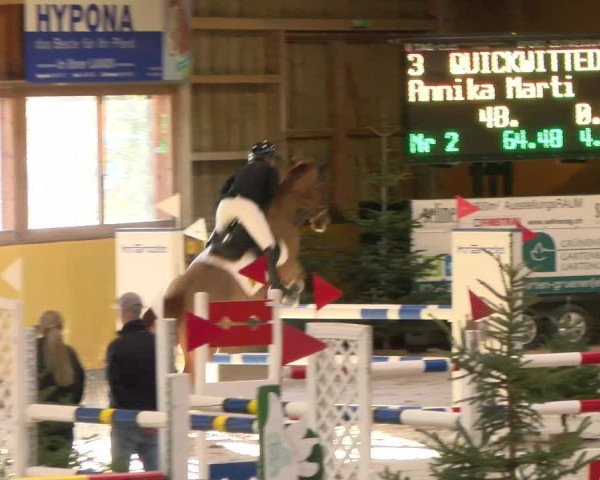 Reitturnier Dielsdorf 2023