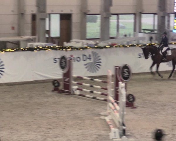 Reitturnier Prussendorf 2023