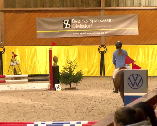 Reitturnier Dielsdorf 2023