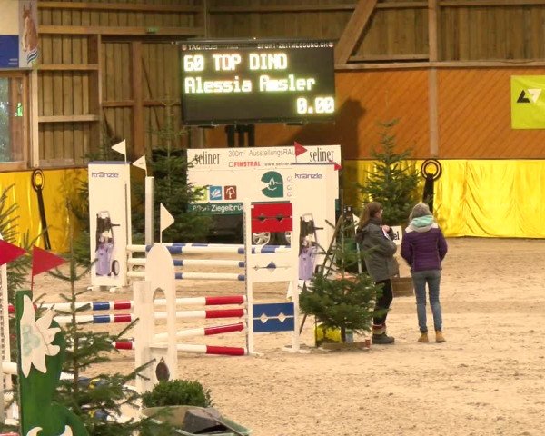 Reitturnier Dielsdorf 2023