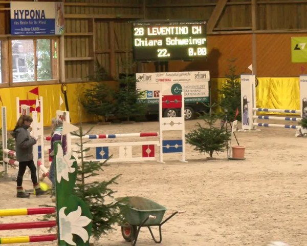 Reitturnier Dielsdorf 2023