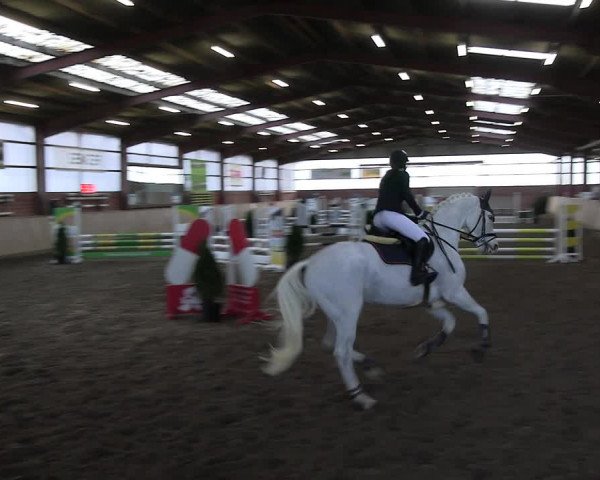 Reitturnier Ostenfelde-Vornholz 2023