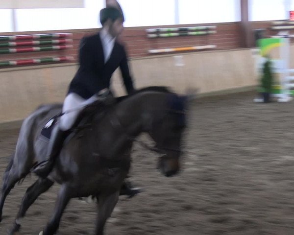 Reitturnier Ostenfelde-Vornholz 2023