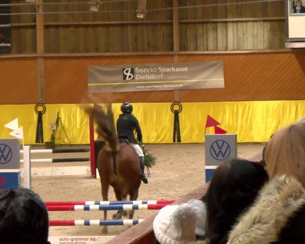 Reitturnier Dielsdorf 2023