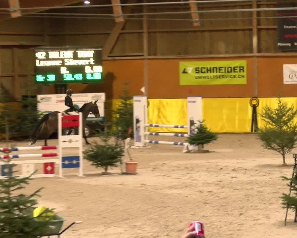 Reitturnier Dielsdorf 2023