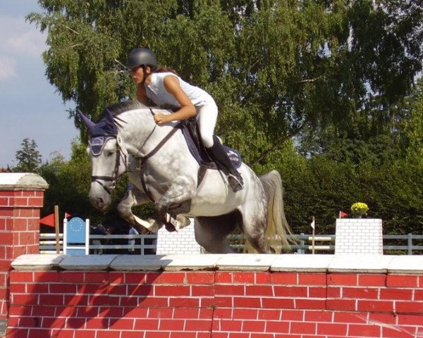 jumper Capilana N (Oldenburg, 2001, from Capilano)