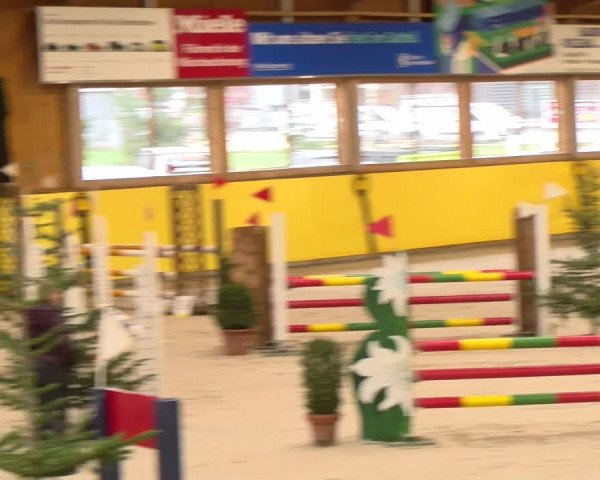 Reitturnier Dielsdorf 2023