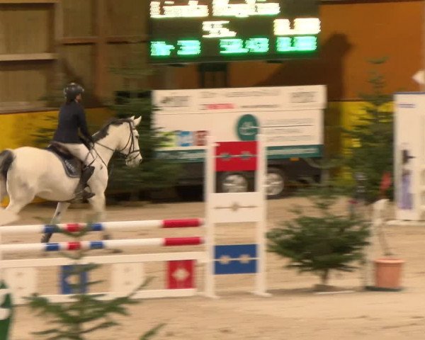 Reitturnier Dielsdorf 2023