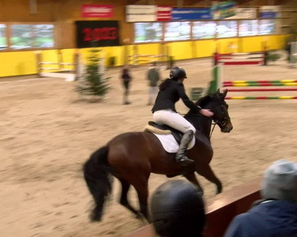 Rideturnering Dielsdorf 2023