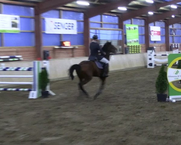 Reitturnier Ostenfelde-Vornholz 2023