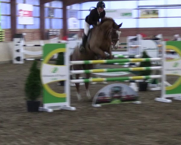 Reitturnier Ostenfelde-Vornholz 2023