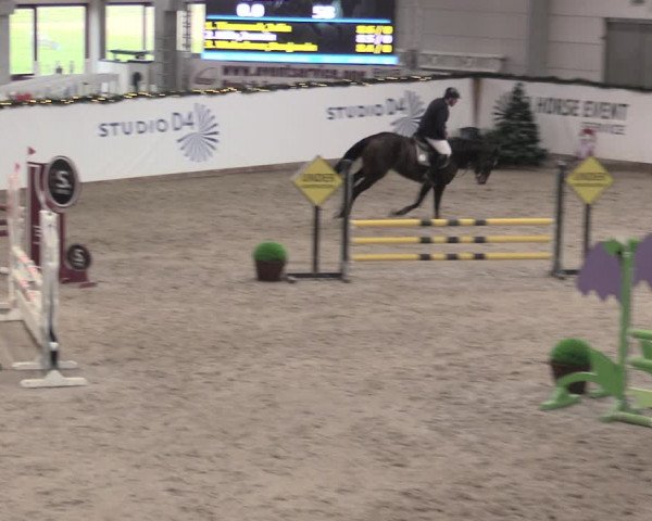 Reitturnier Prussendorf 2023