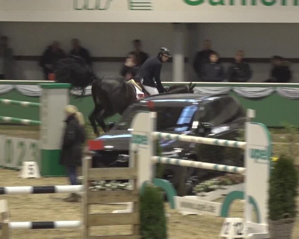 Reitturnier Gahlen 2023