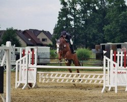 jumper Luvigo (Westphalian, 2000, from Lupicor)
