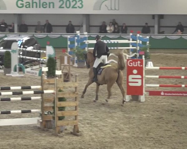 Reitturnier Gahlen 2023