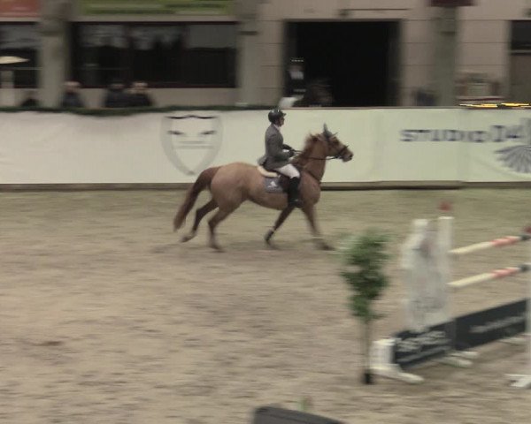 Reitturnier Prussendorf 2023