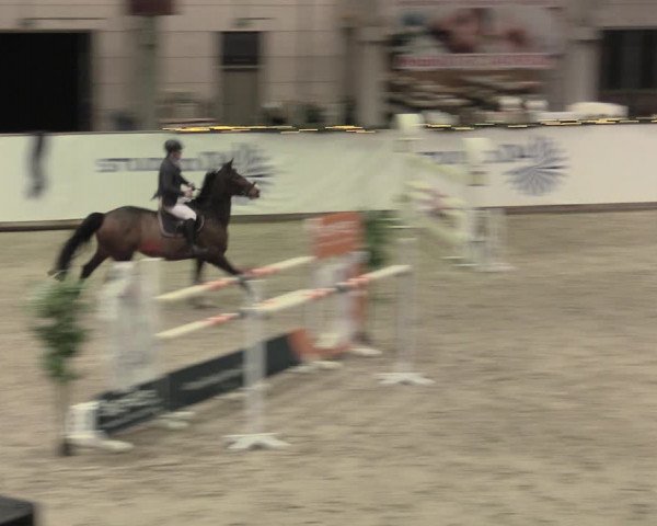 Reitturnier Prussendorf 2023