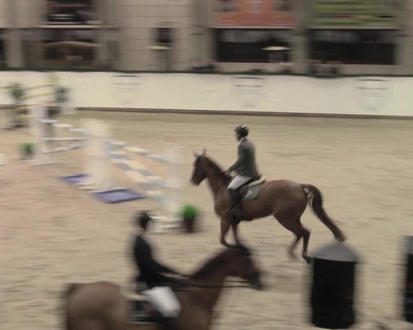 Reitturnier Prussendorf 2023