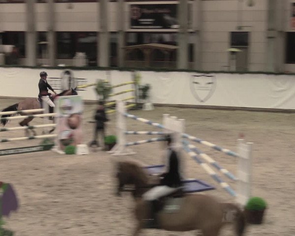 Reitturnier Prussendorf 2023