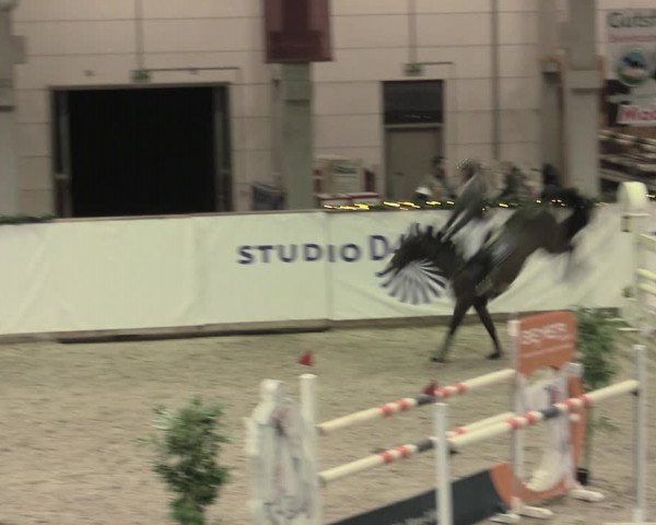 Reitturnier Prussendorf 2023