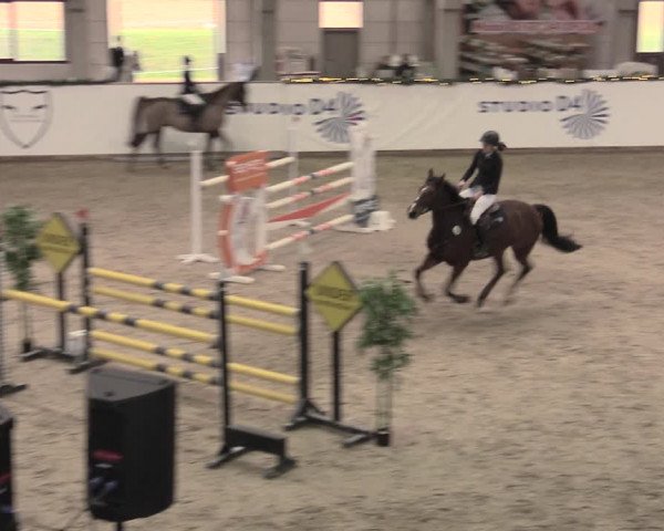 Reitturnier Prussendorf 2023
